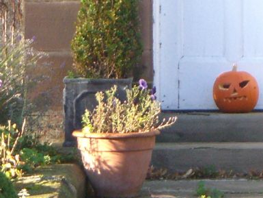 a Halloween pumpkin by a front door