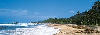 the seashore
