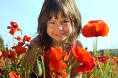 child in poppy field