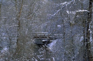 winter scene