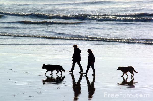 the seashore