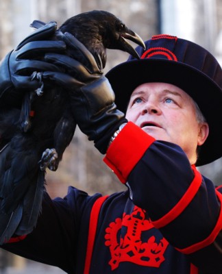 ravenmaster