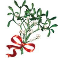 mistletoe